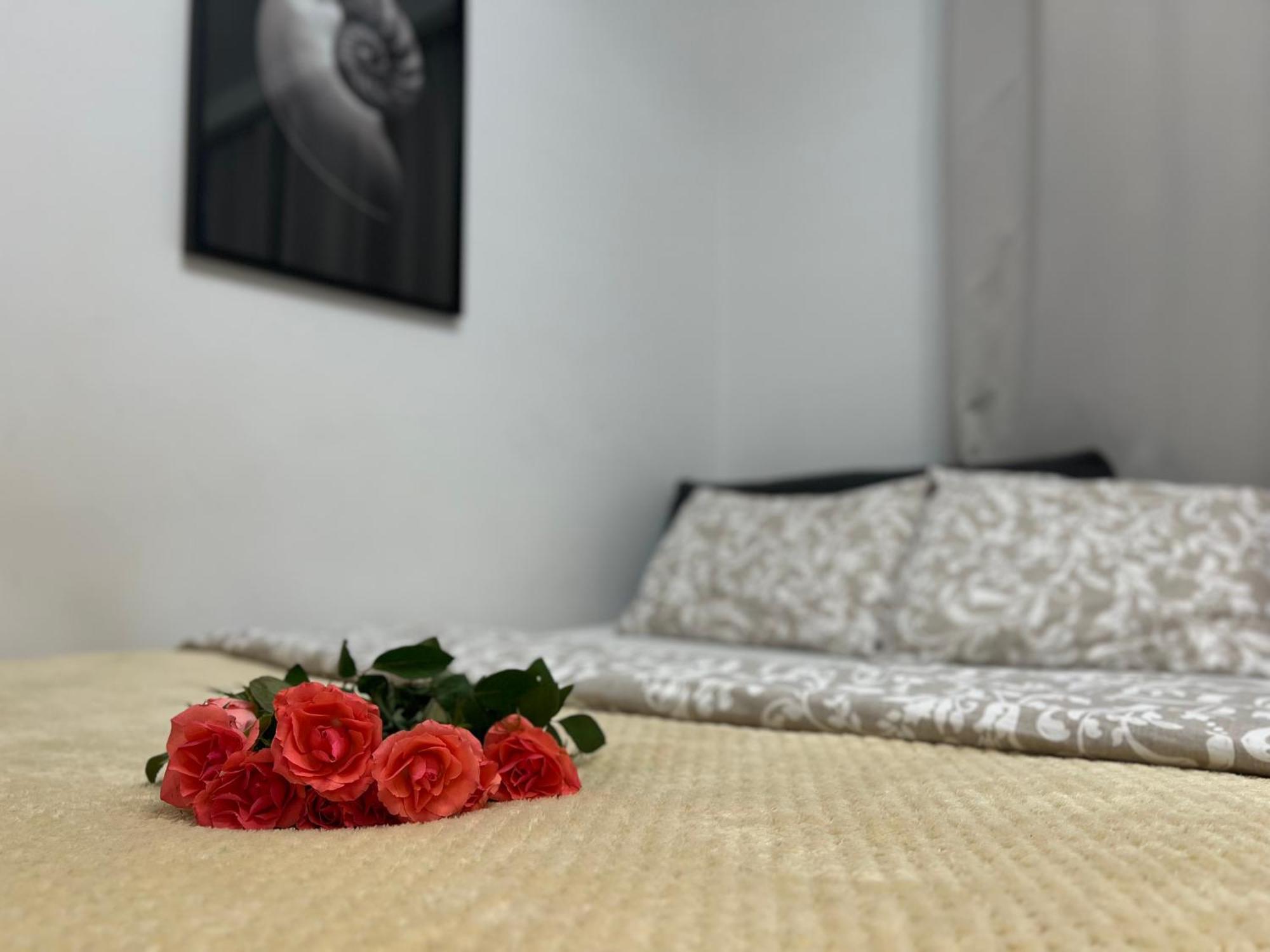 Parkcity Bogucice Karoliny Катовице Екстериор снимка